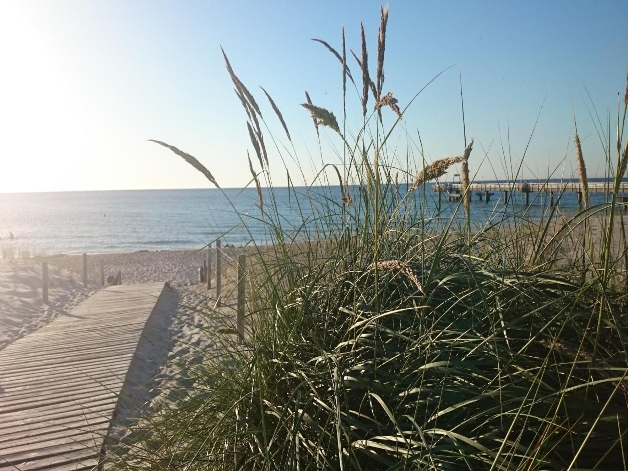 Cosy In Near Baltic Sea Apartment *